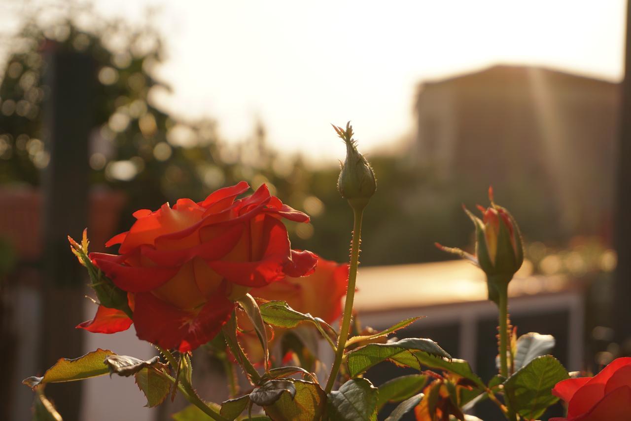 Residence San Salvatore パリヌロ エクステリア 写真